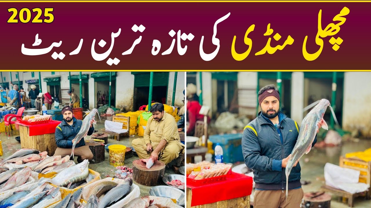 Fish Market Lahore | Machli Mandi Lahore | Fish Market Lahore Rates Today | Fish Wholesale Market 