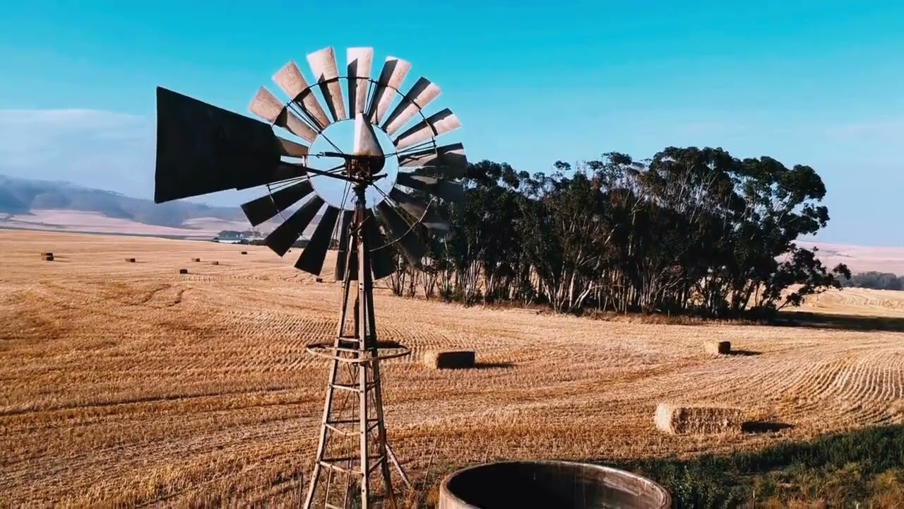 Veld Management In South Africa: Saving Our Grasslands from Degradation