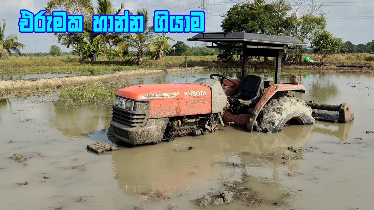 වගල් කුඹුරක් හා ගන්න හැටි / Kubota Tractor / Tractor Videos / Tractor sri lanka