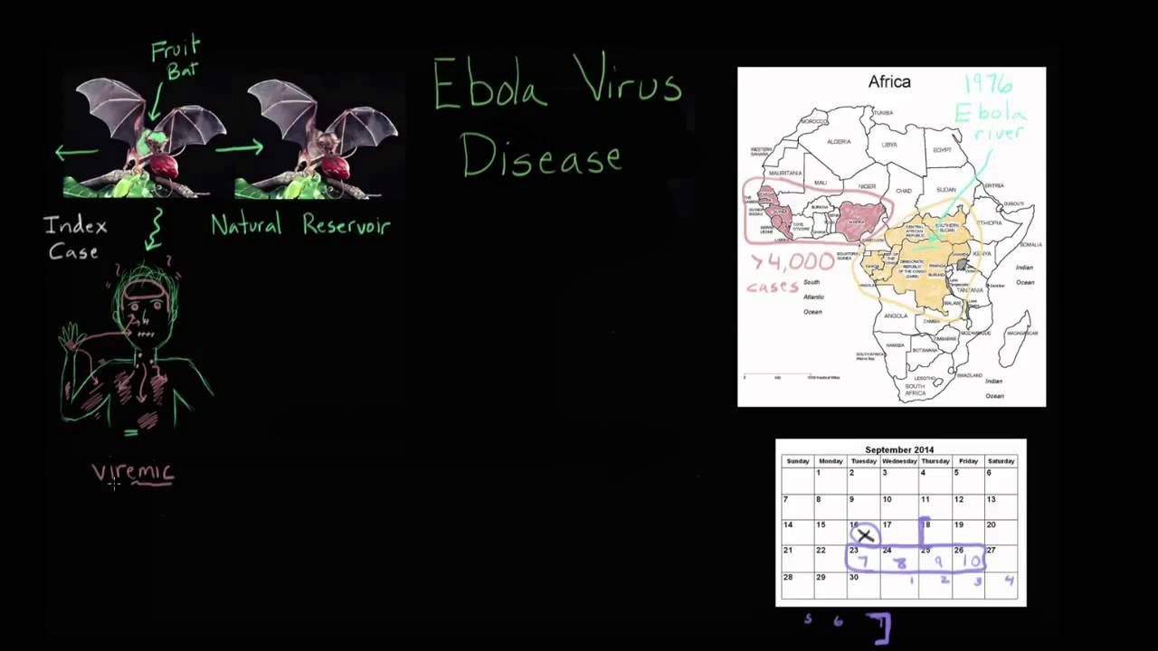 Epidemia wirusa Ebola 1/3 - stan wiedzy wrzesień 2014 rok