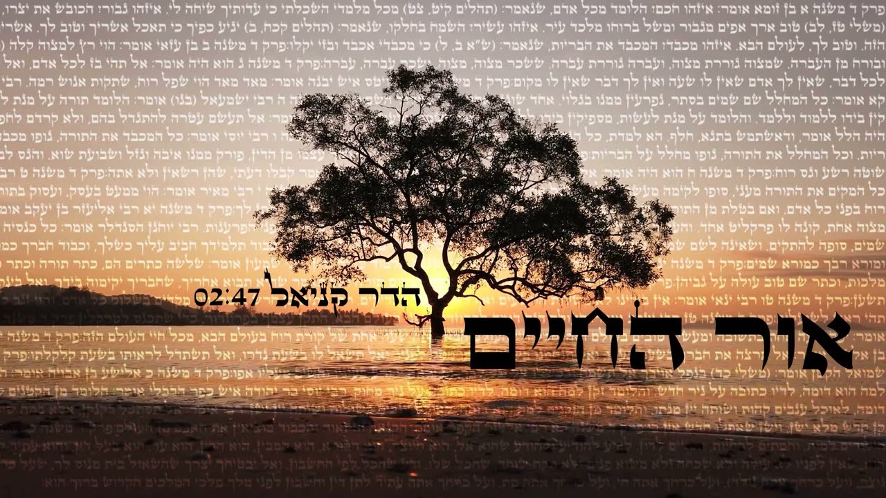 אור החיים- ישי ריבו (קאבר)