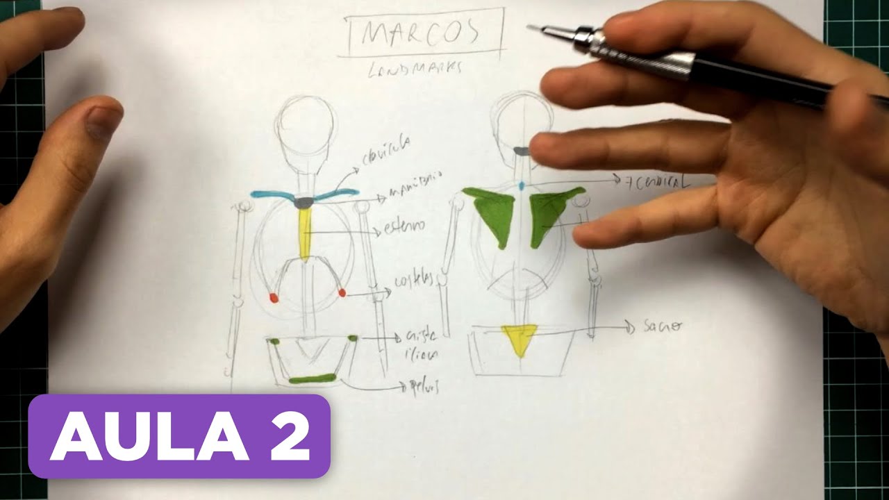 Anatomia Humana para Desenho: Formas Geométricas, Marcos (landmarks) e Construção - AULA 2