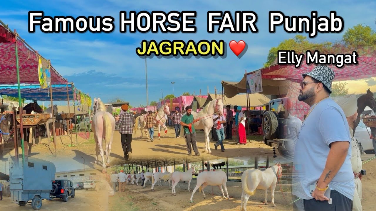 Famous Horse Mela Punjab 🐎|| ਸਾਰੇ Champions ਘੋੜੇ ਆਏ || Elly Mangat Aya Mela Dekhn #petsvlog #horse
