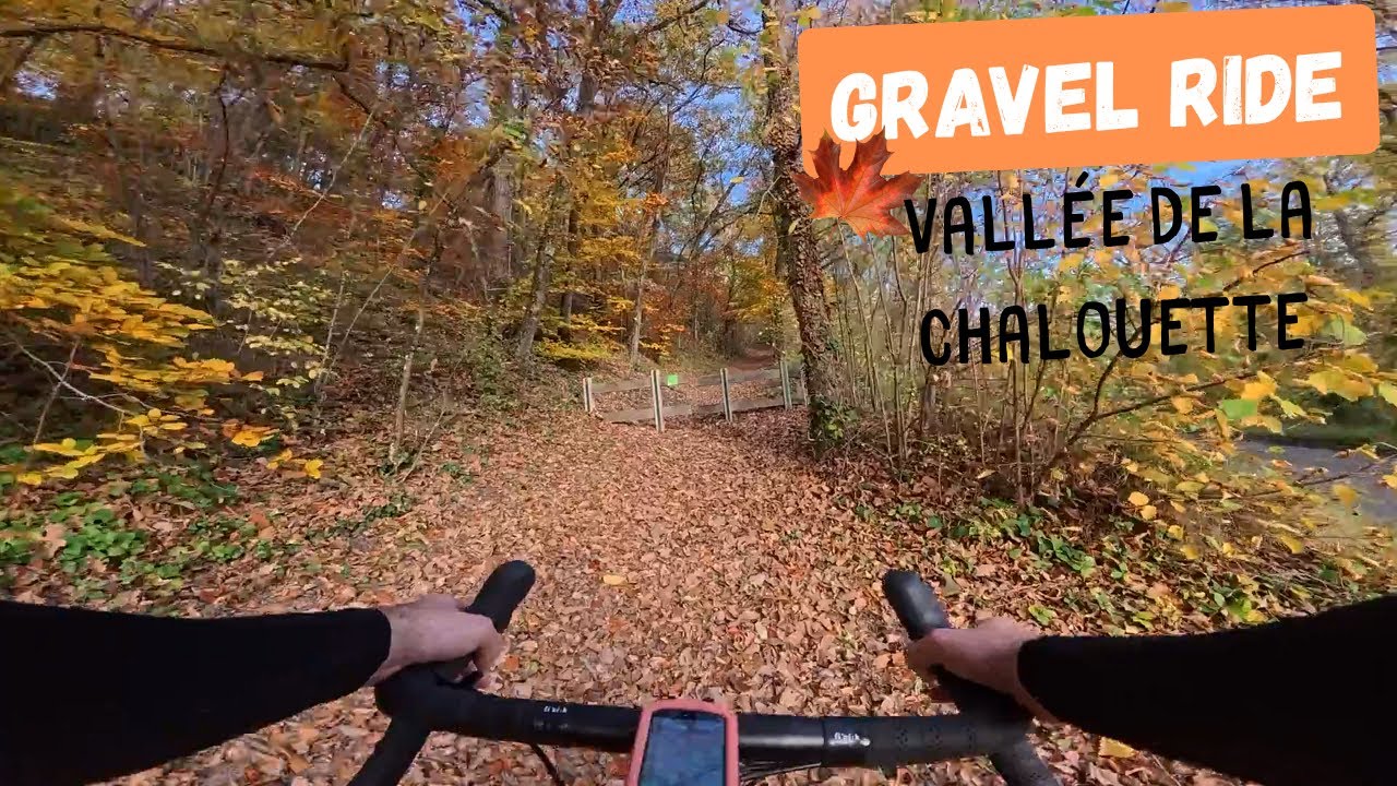 GRAVEL aux couleurs d'Automne | En plein Sud Essonne #velo #cycling #gravel