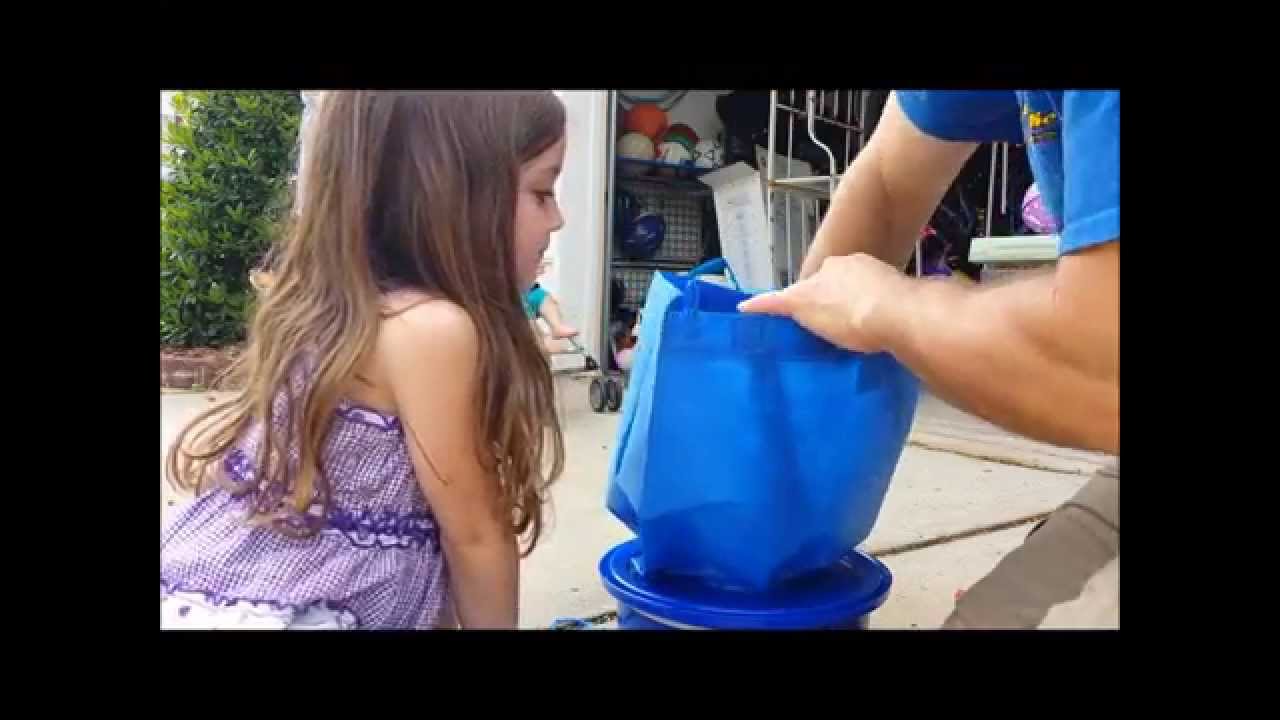 How I made a Self Watering, Air Pruning Planter With my Grandkids