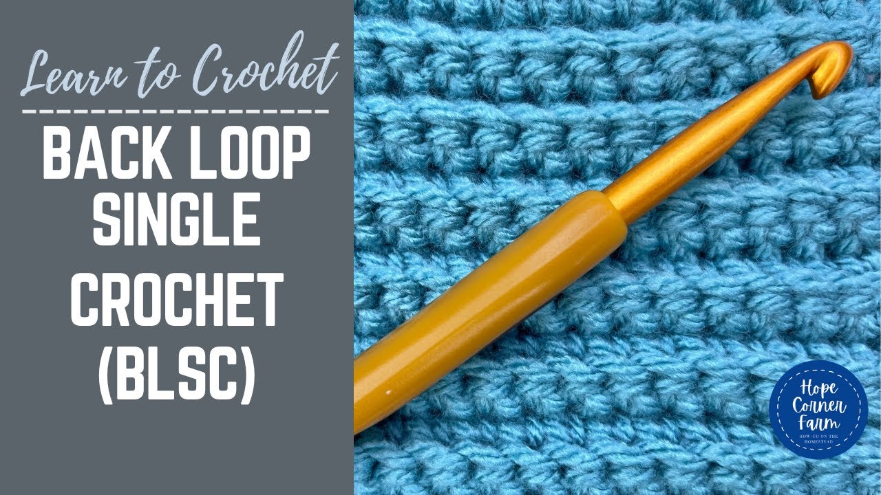 How to Back Loop Only Single Crochet | SLOW INSTRUCTIONS | Back Loop Single Crochet Stitch