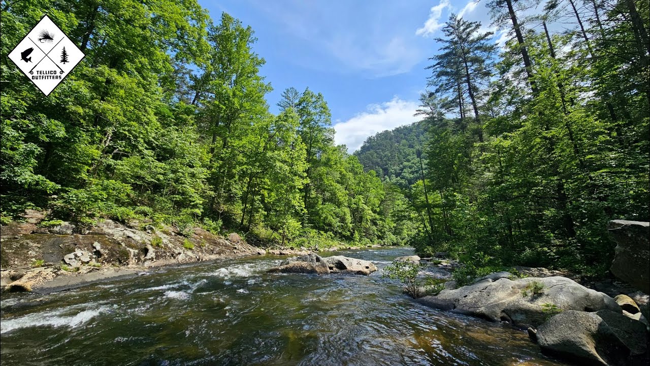 This Section of River was Closed for Nearly 2 YEARS!
