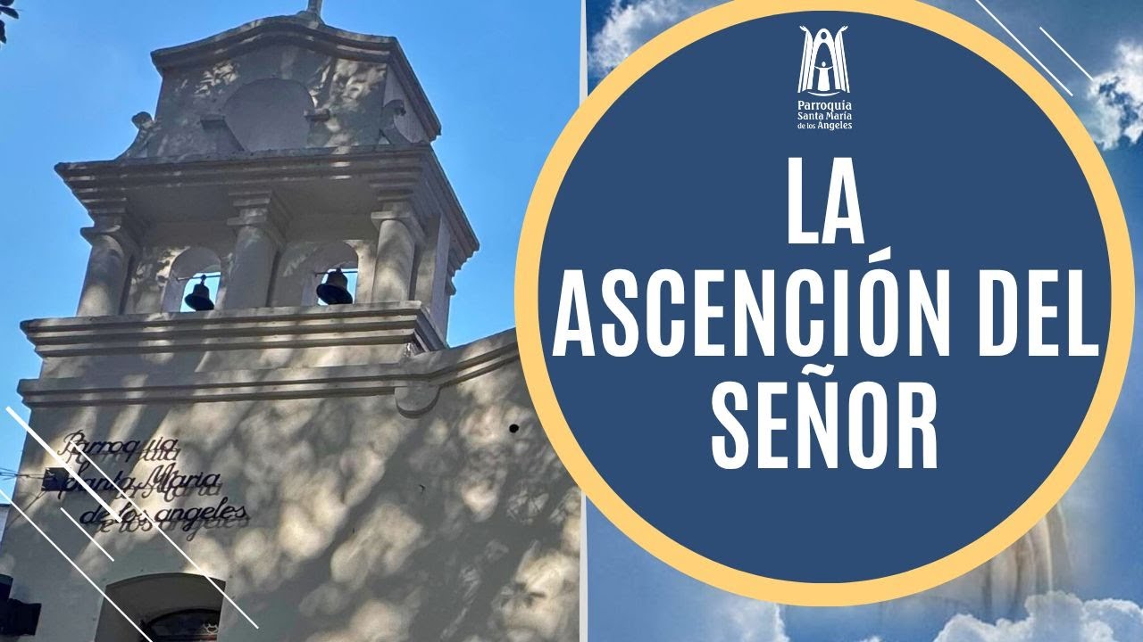 Homilía Domingo 1 de Junio 2025  - Parroquia Santa María de los Ángeles