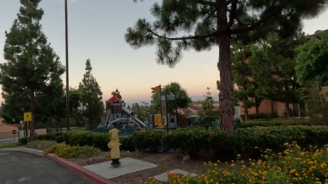 Enchanting Life in Palo Verde: A Glimpse into UCI's Idyllic Graduate Family Housing