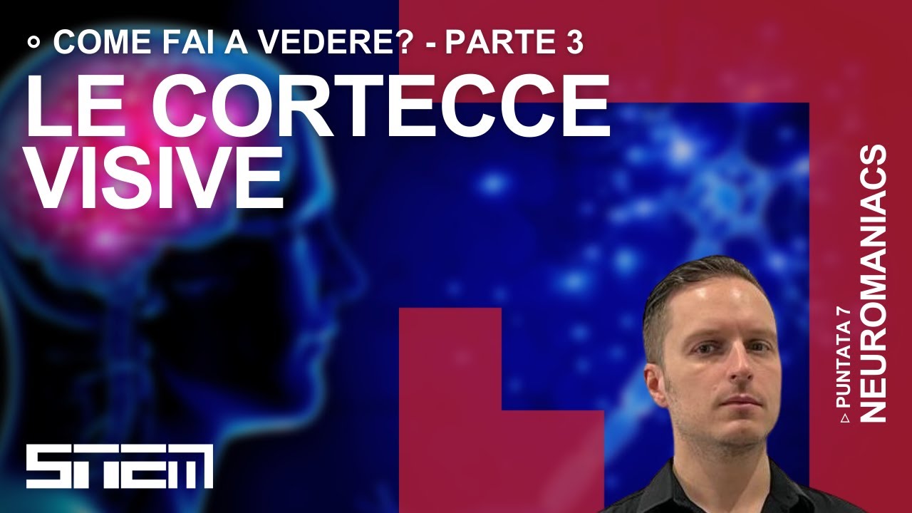 Come fai a vedere? Pt 3: cortecce visive, tridimensionalit&agrave; e illusioni ottiche