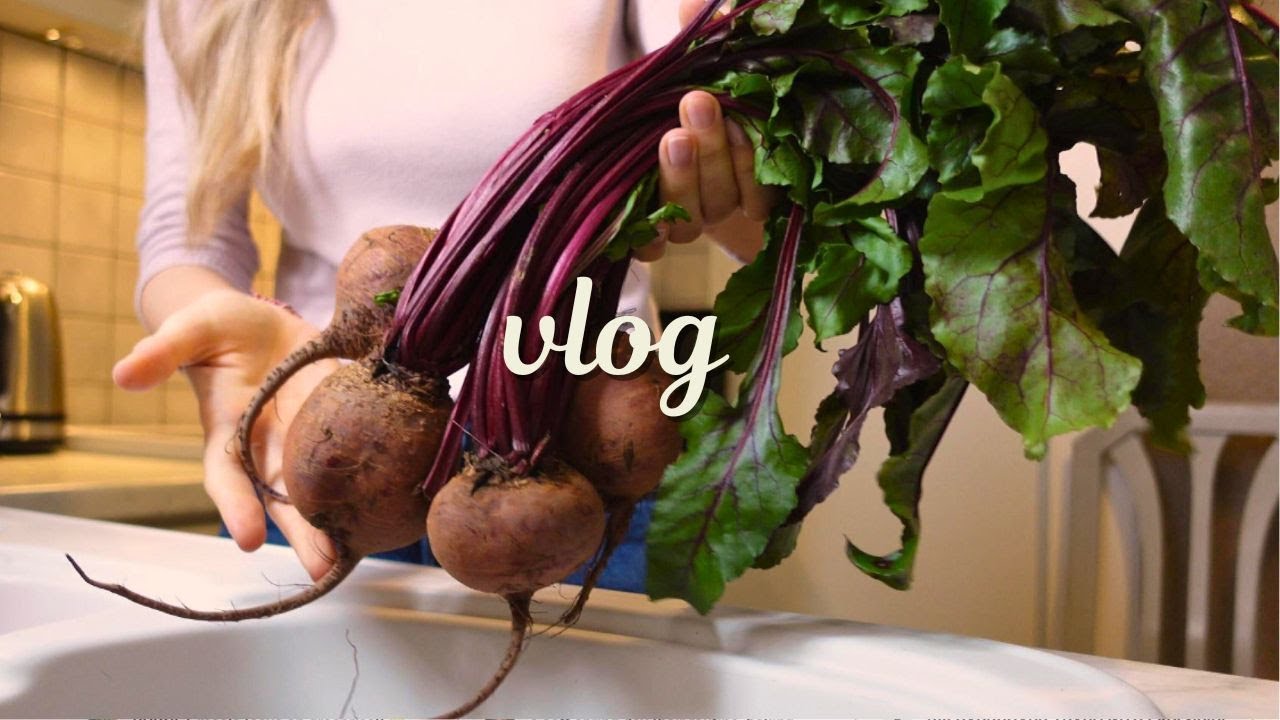 Цены на продукты в Греции € 🛒 Легкий рис с луком-пореем, салат из свеклы & полезные шоколадные вафли