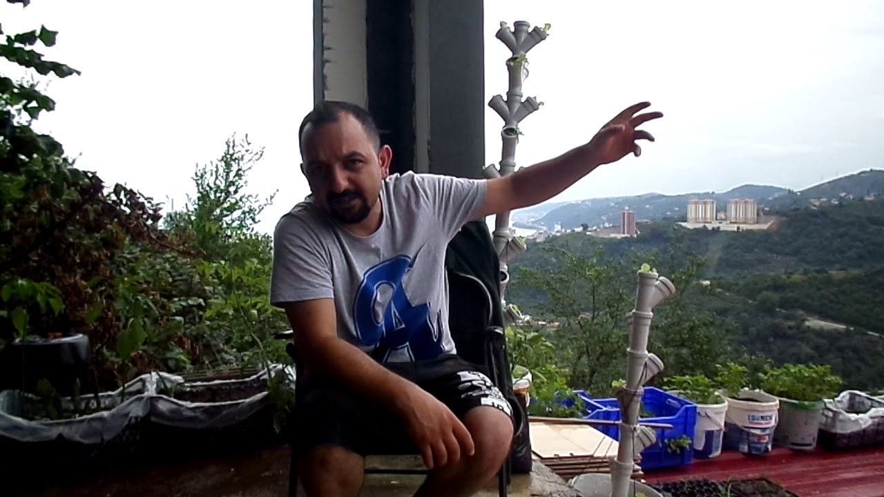 Sansar dan Nasıl Korunabiliriz ?
