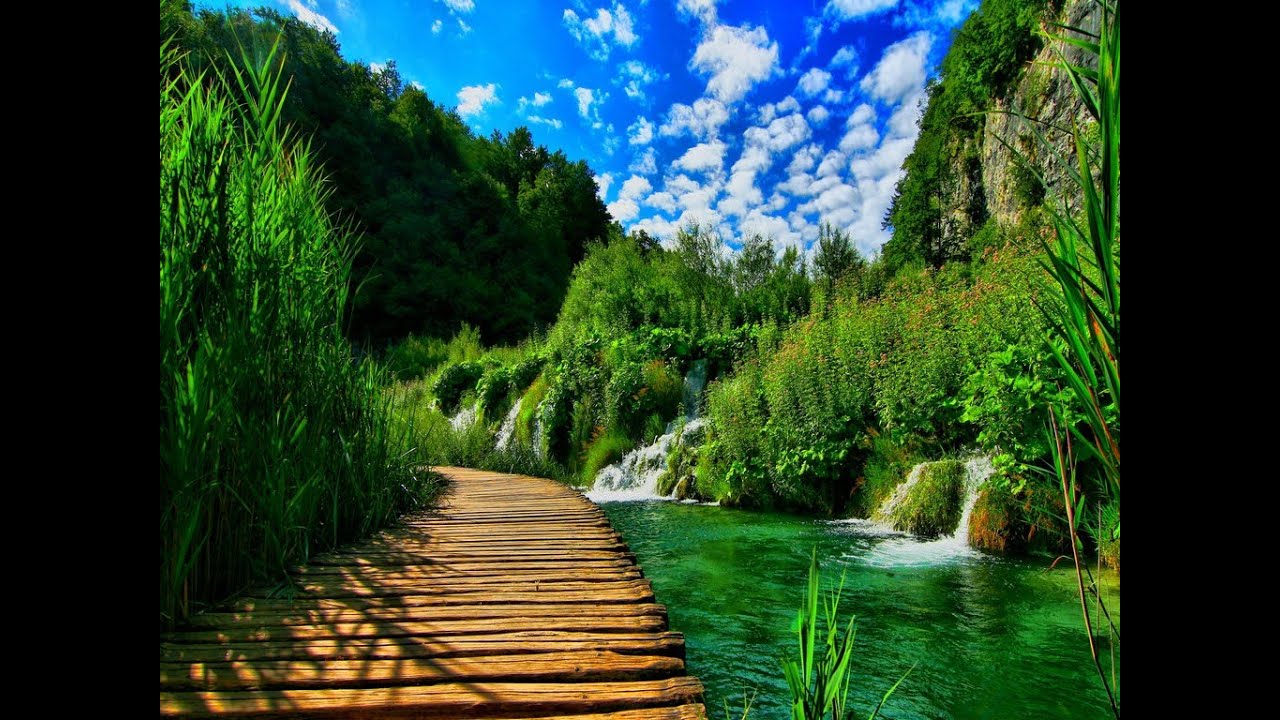 🇫🇷Top 10 des FRAGRANCES aromatiques fougères/vertes designers en reconnection avec la NATURE!🌿☘️🌱💚