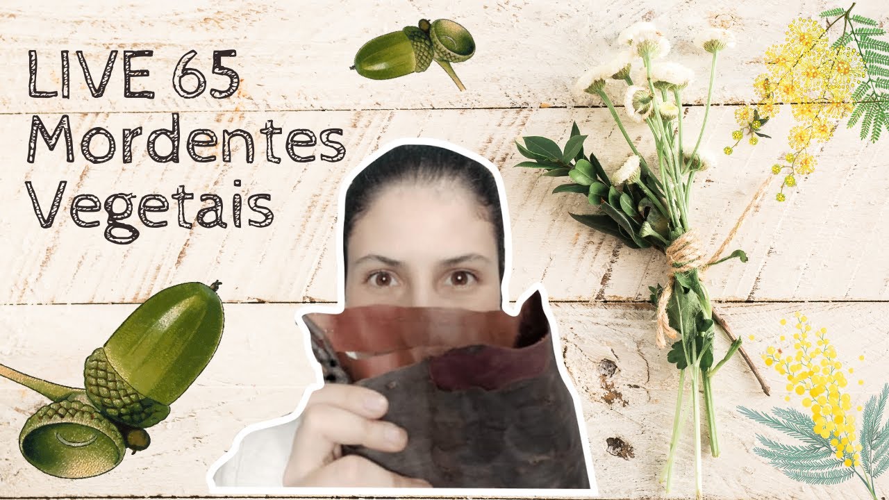 LIVE 65 - Mordentes Vegetais