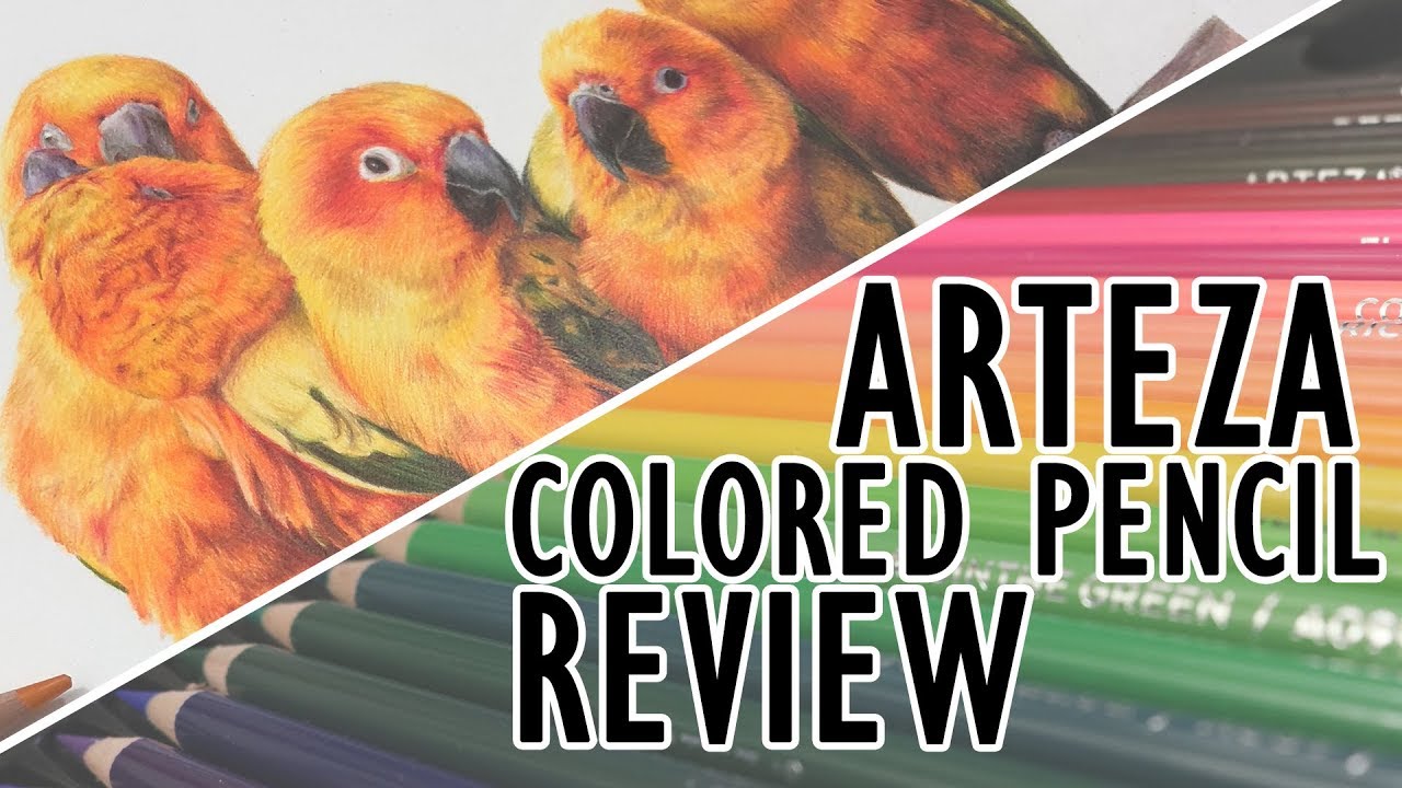 Arteza Expert Colored Pencils Review + Sun Conures!