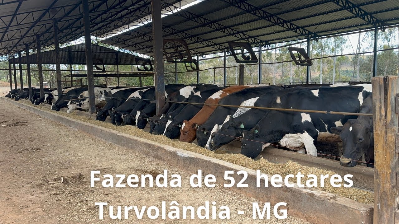 Fazenda Leiteira Com Produção de Até 3.000 Litros/Dia – Ideal p/ Você que busca Estrutura e produção