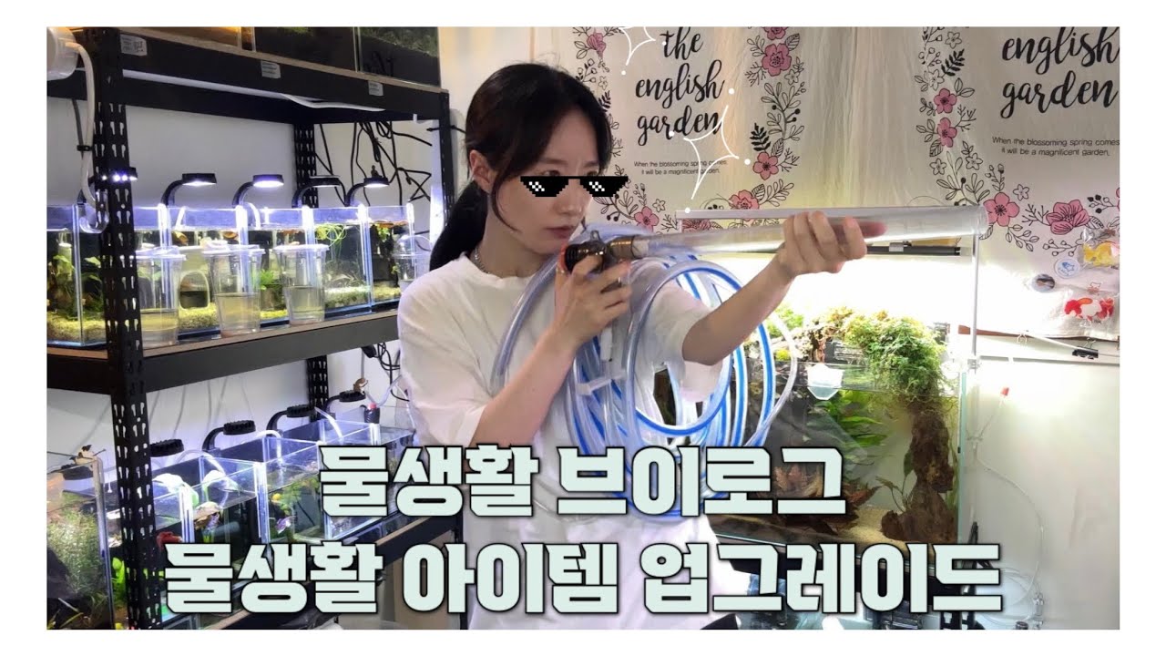 환수 아이템 업글 했습니다! /물생활 Vlog/#물생활#브이로그#수이사쿠