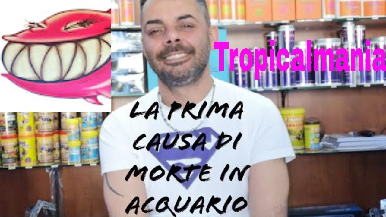 La prima causa di morte dei pesci in acquario. (parte 1)