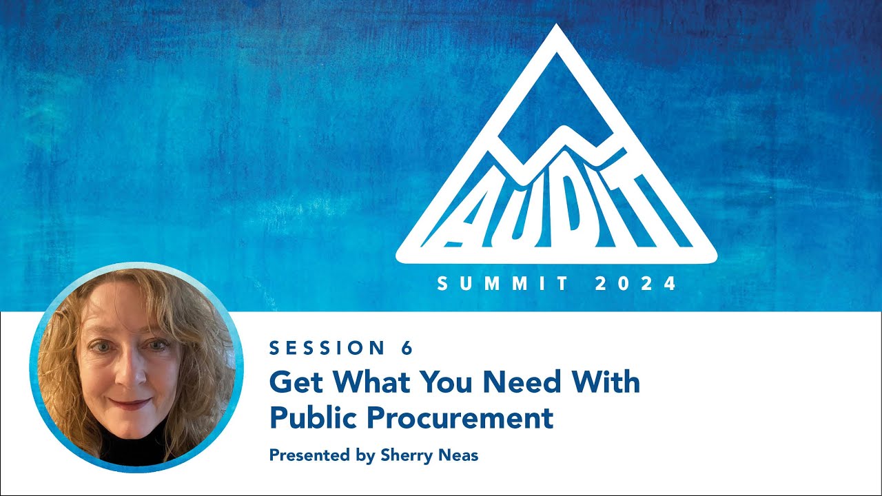 Get What You Need with Public Procurement | Audit Summit 2024