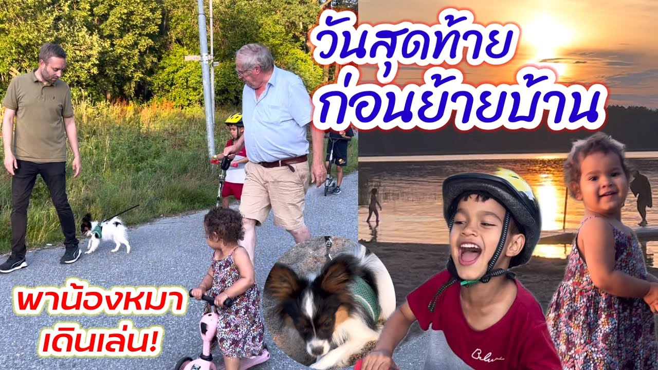 วันสุดท้ายก่อนย้ายบ้าน พาครอบครัวออกไปเดินเล่นยามเย็นกับคุณปู่และน้องหมา #ลูกครึ่งไทยสวีเดน