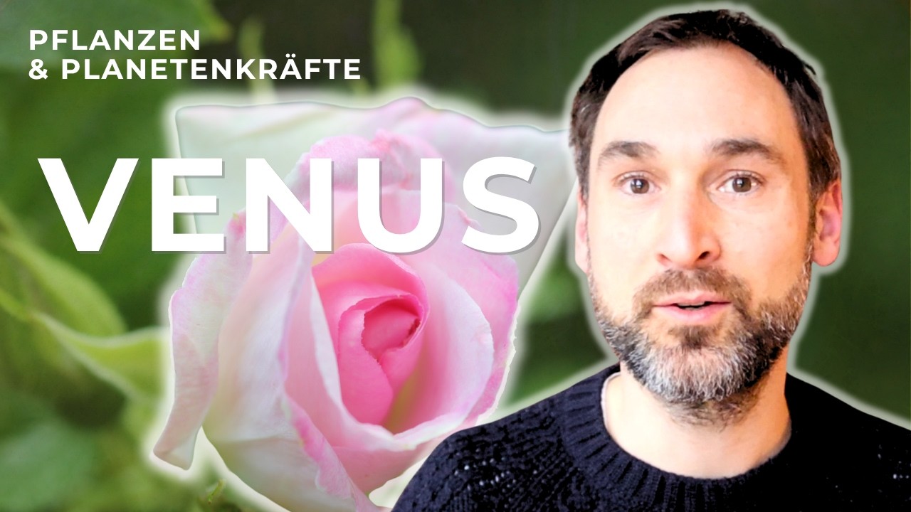 Pflanzen & Planetenkr&auml;fte (4) Venuskr&auml;fte