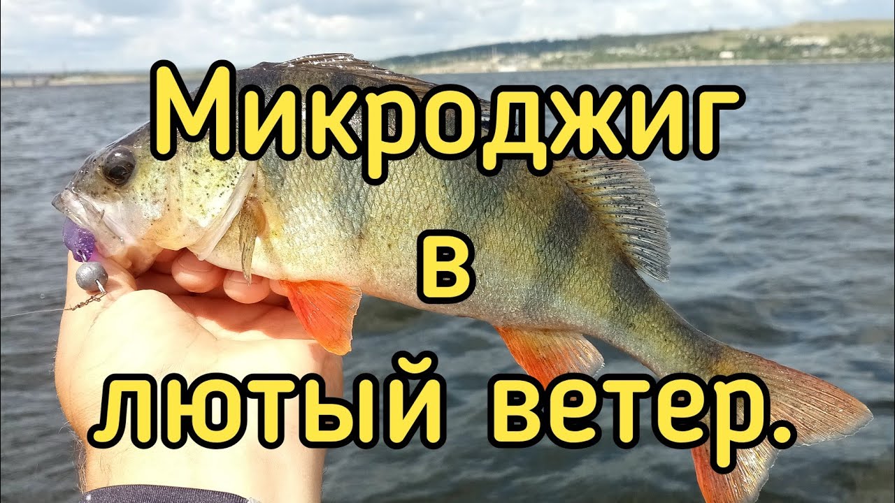 Микроджиг в лютый ветер. Окунь раздаёт. Dayo Magestic 198 0.5-5 гр. / Black Adder Nano 168 0.5-1 гр.