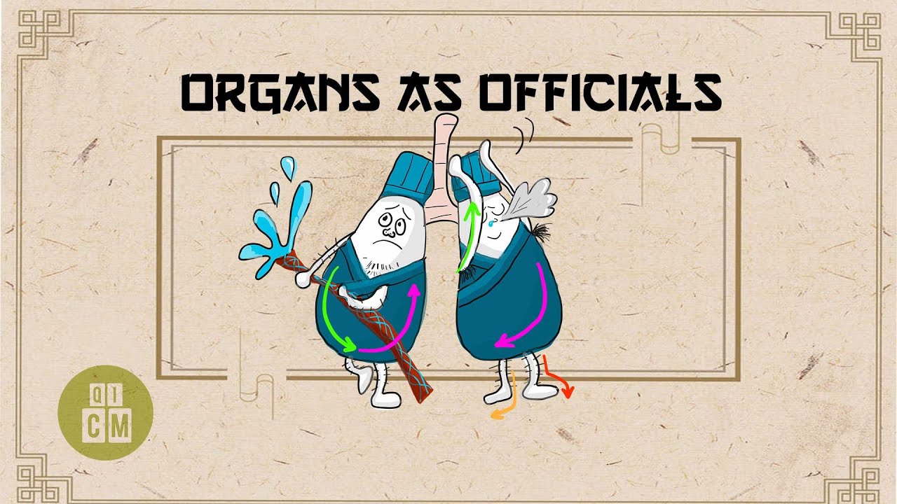 Organs as Officials (Part 1)| QiCM