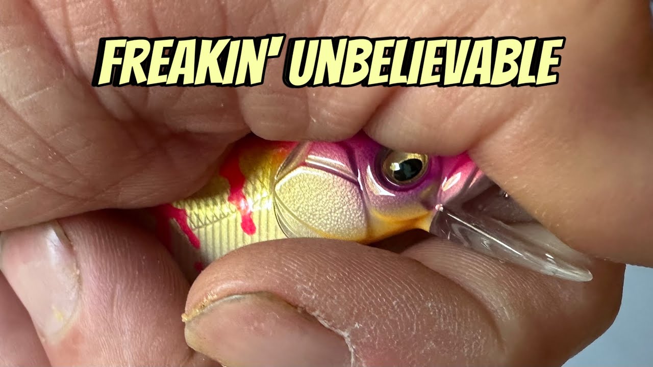 Best Jerkbait Color Ever…
