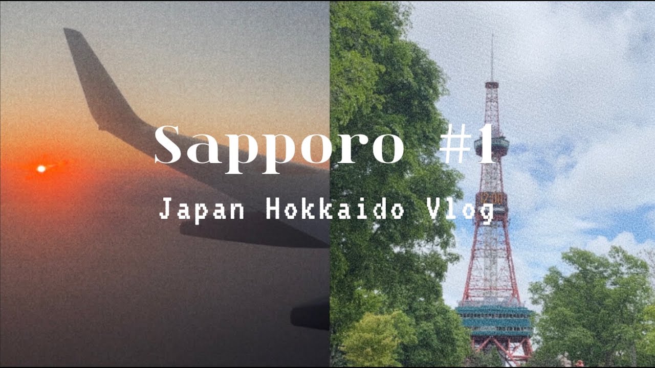 Japan Vlog / Hokkaido Sapporo 北海道札幌行 #1,  Flight from Singapore to Sapporo, Solaria Nishitetsu Hotel