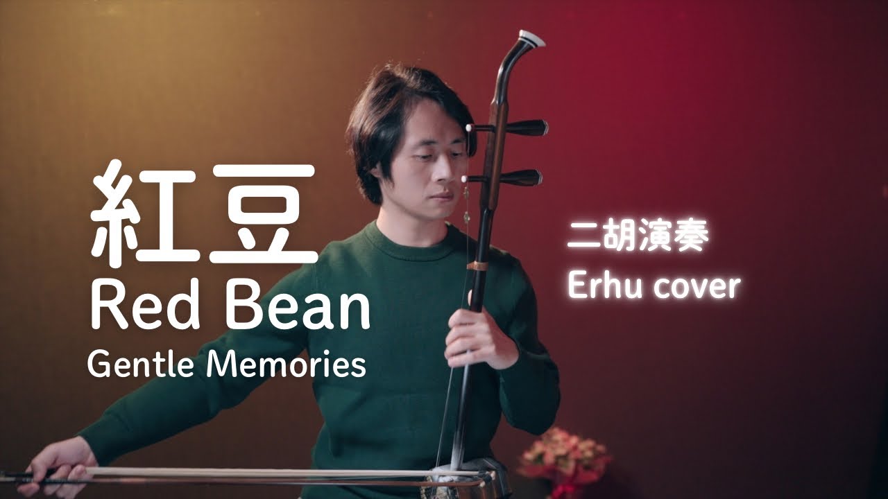 红豆/Red Bean – Gentle Memories/二胡 / Erhu Cover/田宇