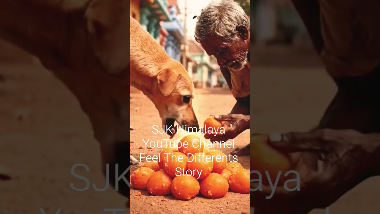 Offering to God #shortvideo #tamilshorts #tamil #tamilvideo #krishna #tamilstory #tamilstatus #kovil