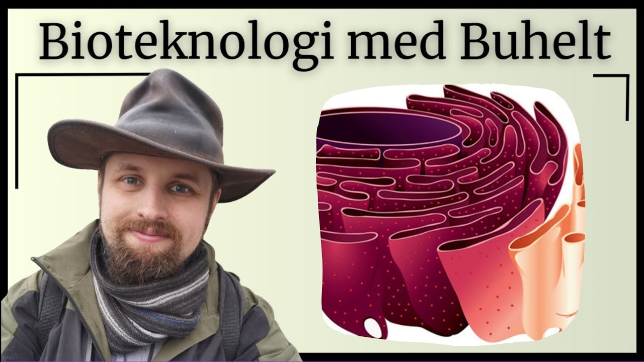 Bioteknologi - Cellers opbygning
