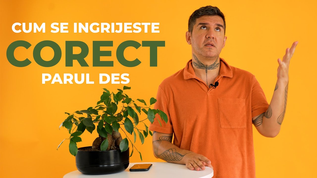 Cum se ingrijeste corect parul des