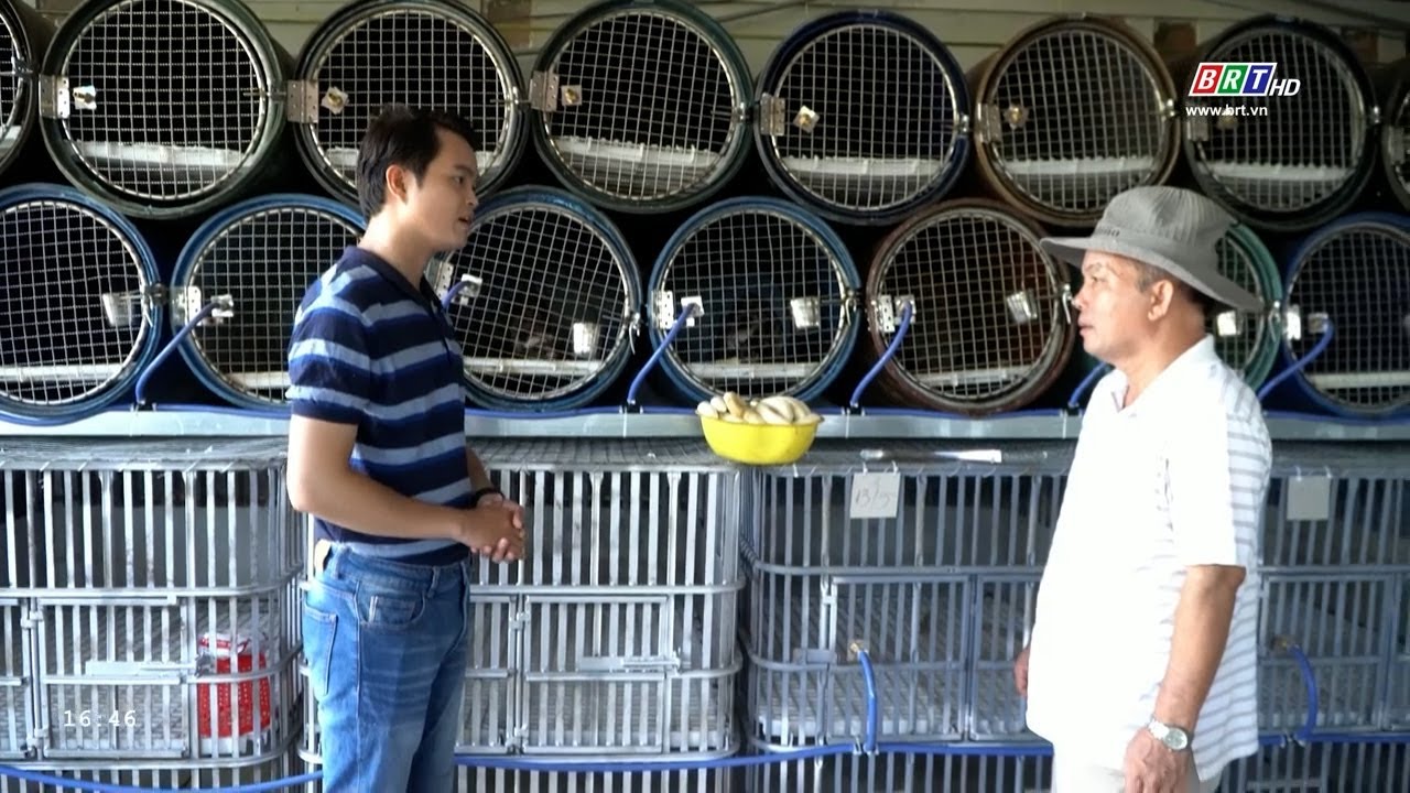 Nhà nông hội nhập 18/6/2024 | Triển vọng của mô hình nuôi chồn hương | BRT TV