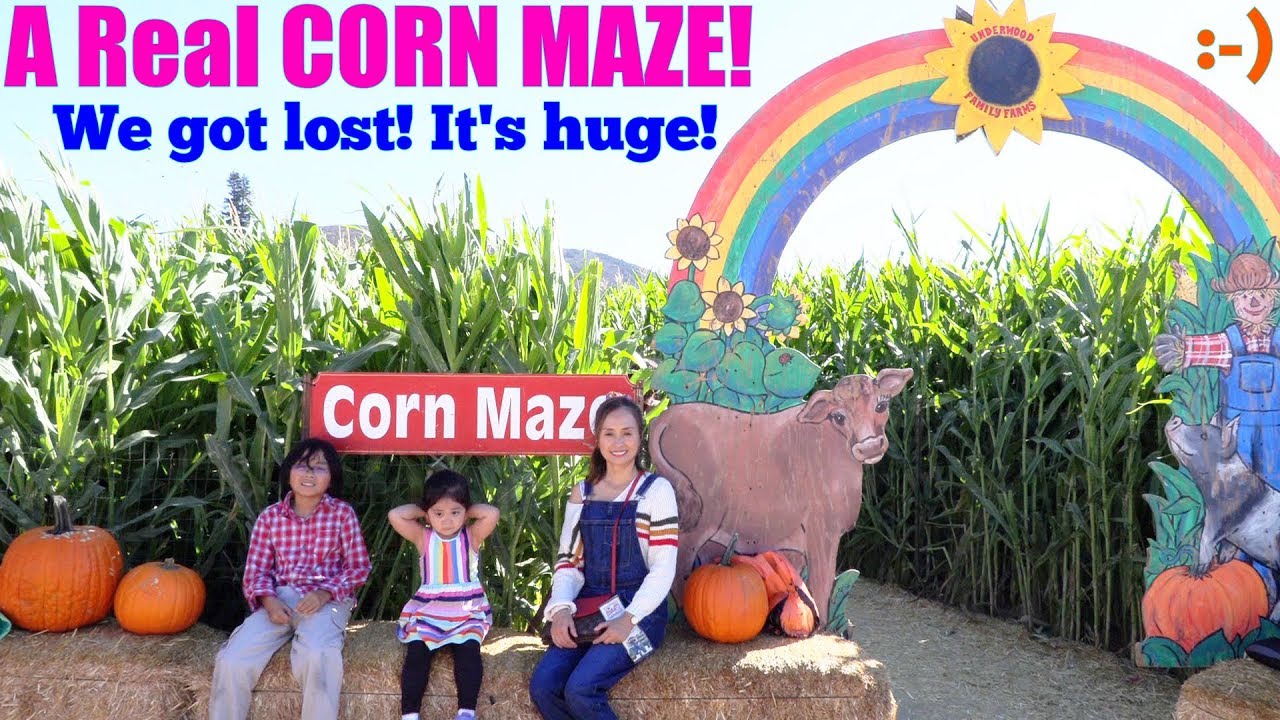 A Real Halloween CORN MAZE! We Got Lost in a CORN MAZE! Pumpkin Patch 2018 with Hulyan and Maya