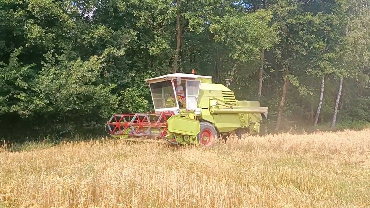 Koszenie owsa Claas mercator 75