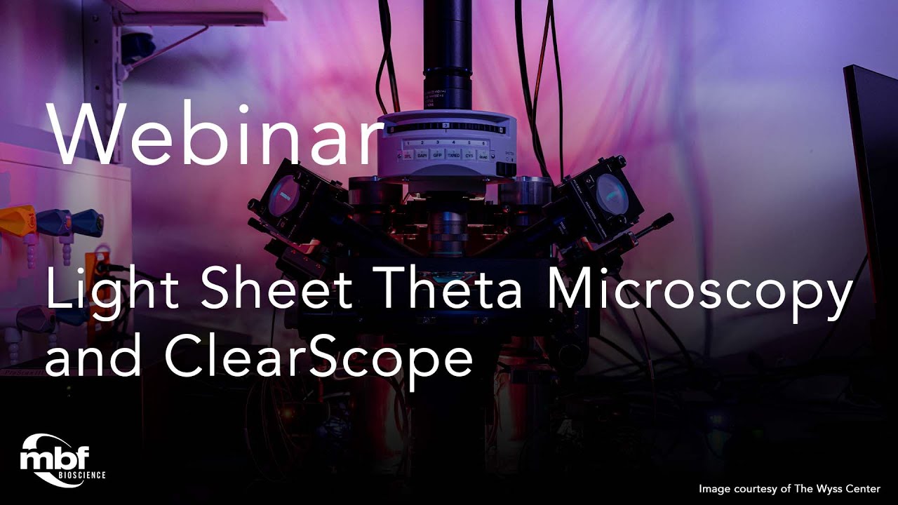 Webinar: Expanding Your Research Possibilities with Light Sheet Theta Microscopy