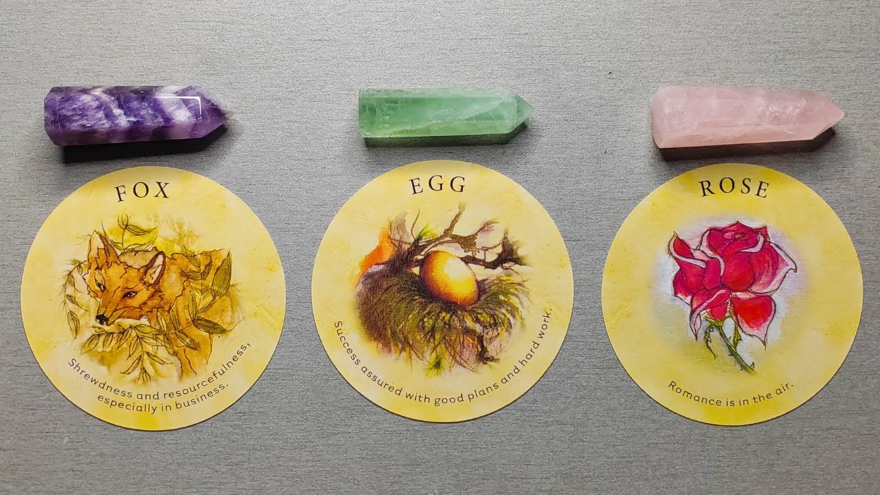 WHERE IS YOUR CURRENT PATH TAKING YOU? 🕯️✨🦄 Pick A Card 🔮✨ Timeless Tarot Reading