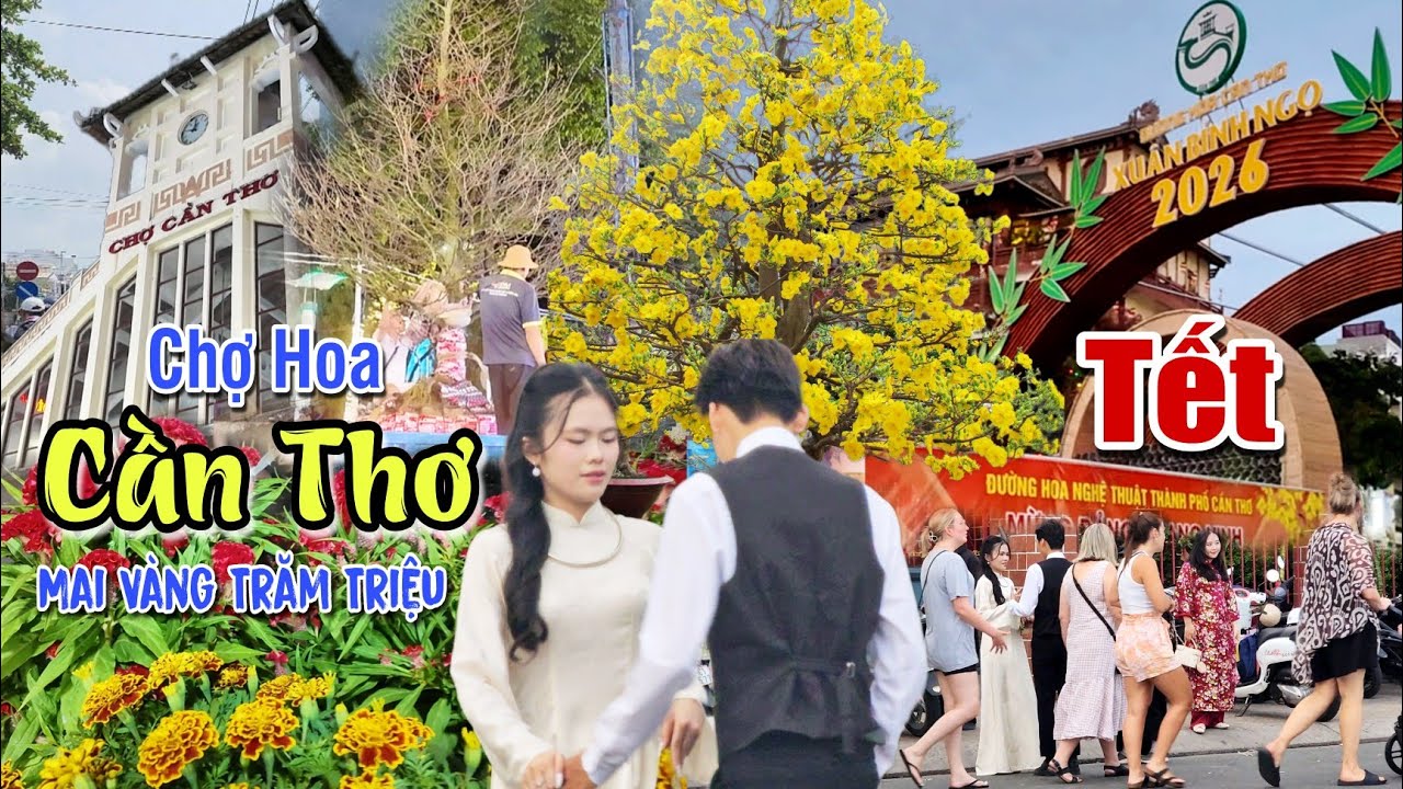 Bất Ngờ Đường Hoa Xuân Bến Ninh Kiều Xôn Xao Chợ Hoa Xuân Cần Thơ Tết 2026 Mai Vàng Bạc Tỉ Xuất Hiện