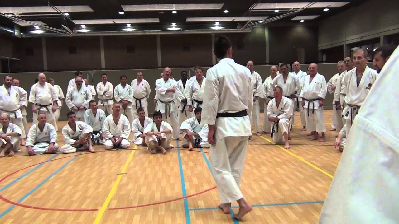 Sensei SHIMIZU