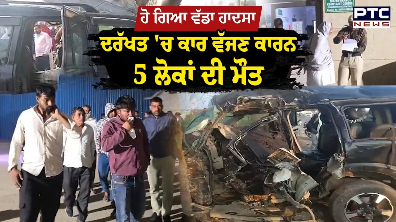 Haryana 'ਚ ਵੱਡਾ ਹਾ\ਦਸਾ , ਦਰੱਖਤ 'ਚ ਕਾਰ ਵੱਜਣ ਕਾਰਨ 5 ਲੋਕਾਂ ਦੀ ਮੌ\ਤ | Punjabi News | Gohana