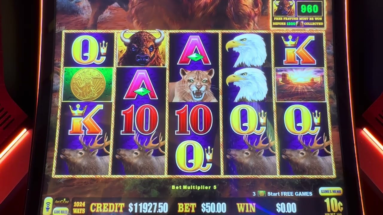 Unbelievable Max Bet Buffalo Link Session