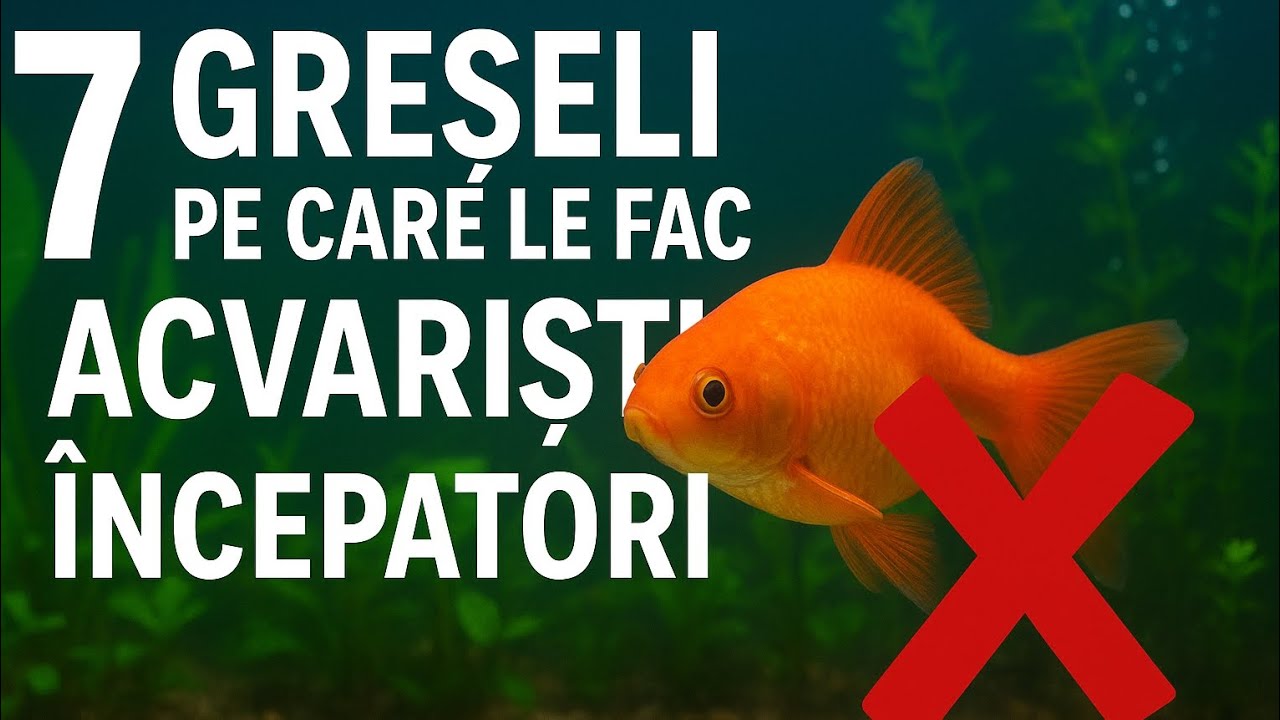 7 greșeli pe care le fac acvariștii &icirc;ncepători