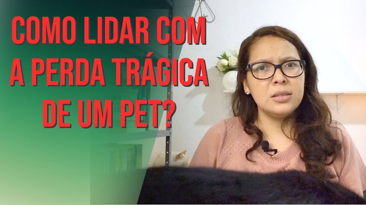 Como lidar com a perda trágica de um pet?