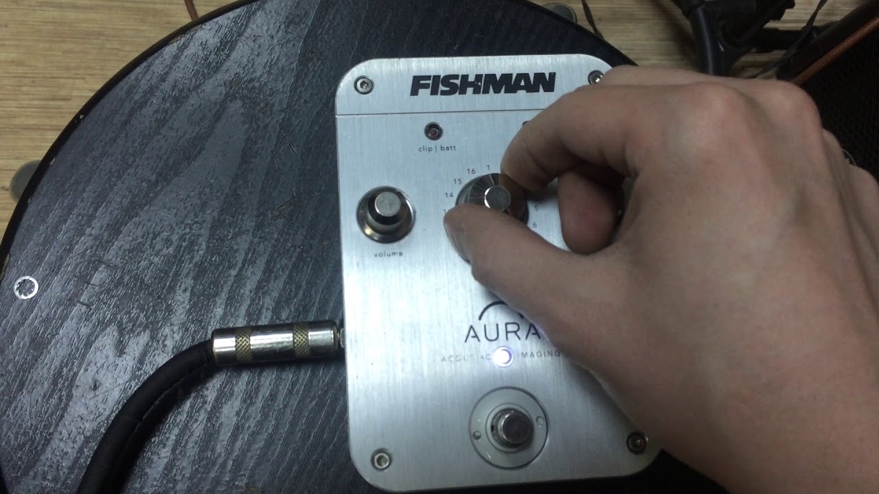 Fishman Aura