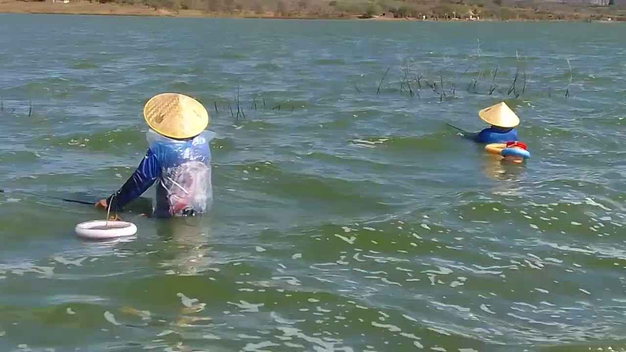 Pescaria na pujuca em Belo jardim 
