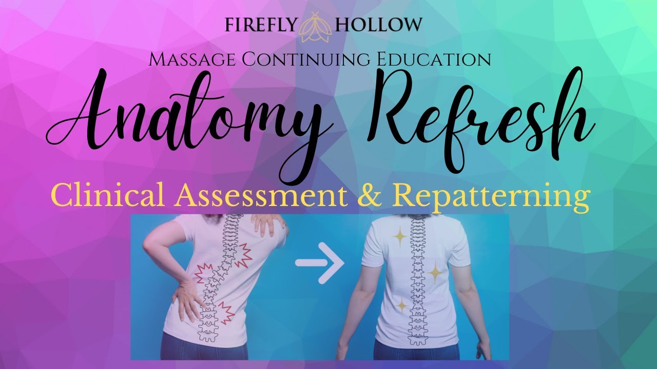 Anatomy Refresher Massage Continuing Education Class:  Clinical Assessment & Repatterning