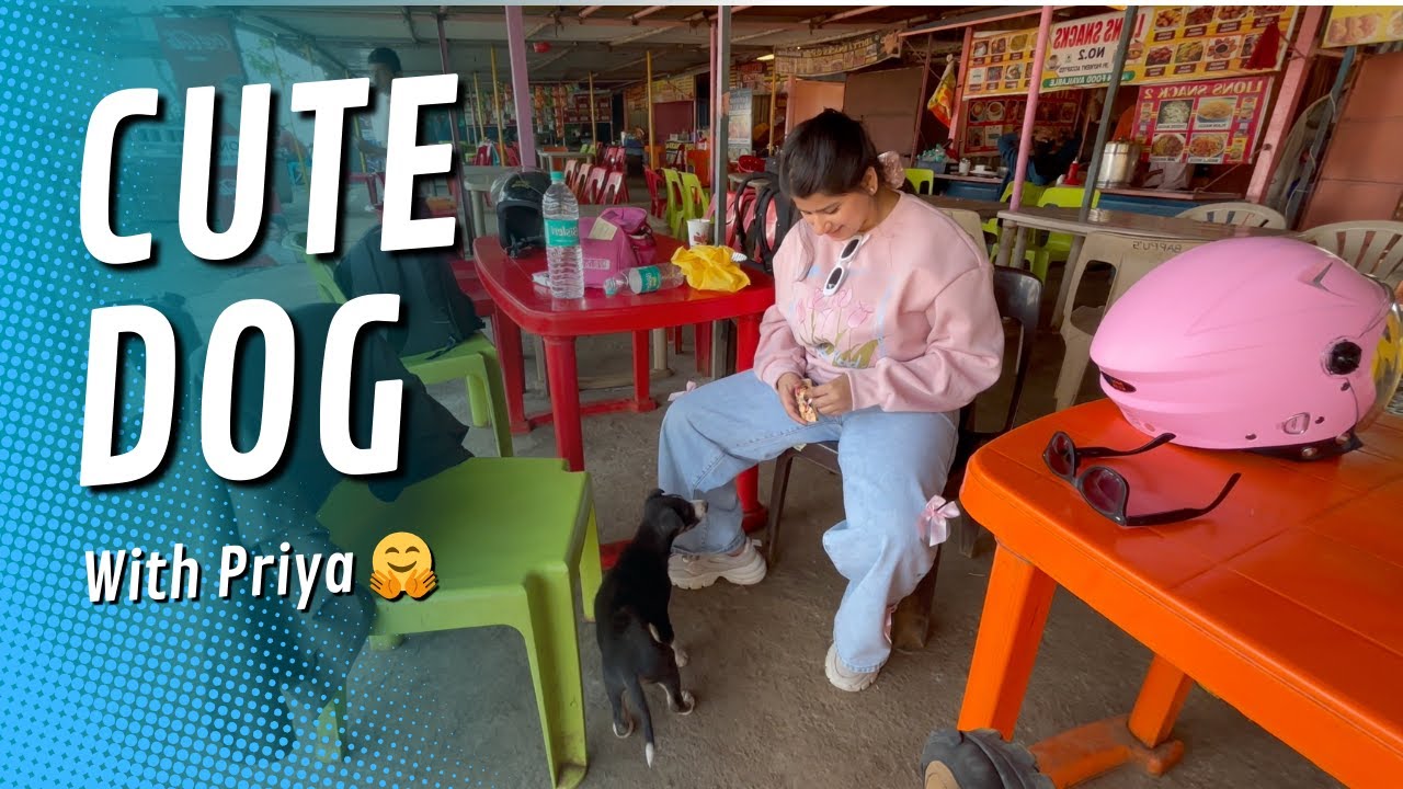 Cute Puppy Gets Biscuit from Priya | Heartwarming Puppy Video #cutepuppy #dogtreats #animallover