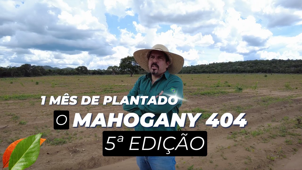 1 M&Ecirc;S DE PLANTADO O MAHOGANY 404 5 EDI&Ccedil;&Atilde;O