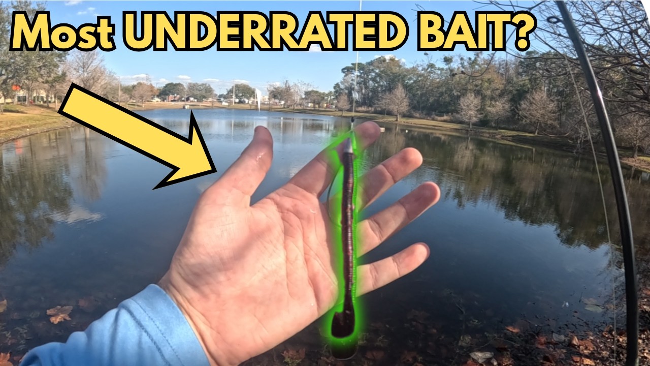 How to Catch MORE Bass with the ZOOM SPEED WORM!! (EPIC POND ACTION)